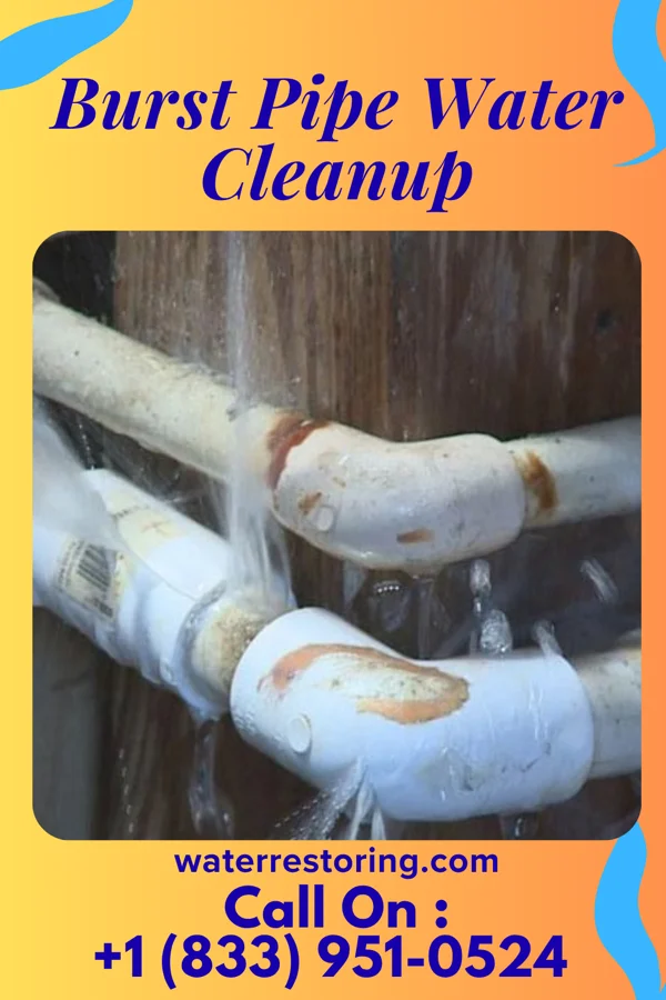 Burst Pipe Water Cleanup in Clarington, OH