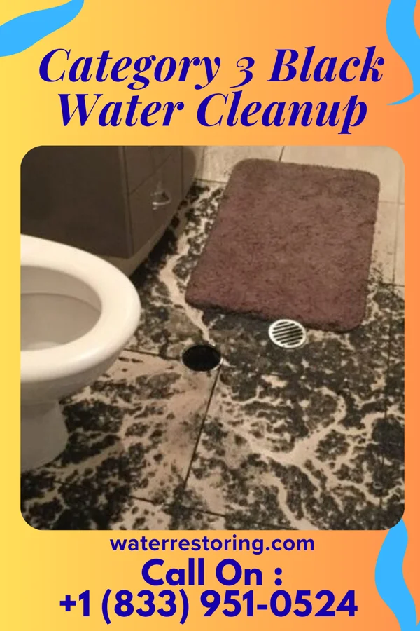 Category 3 Black Water Cleanup in Clarington, OH