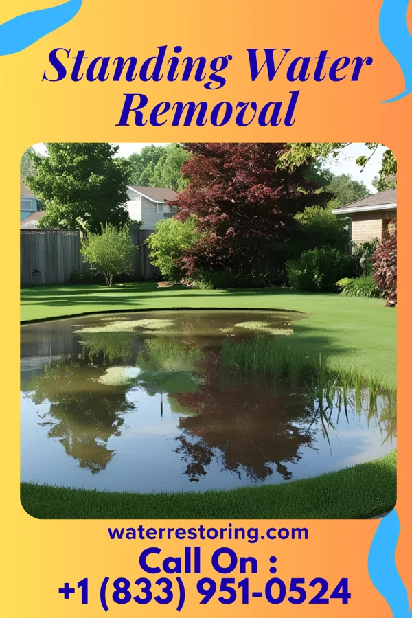 Standing Water Removal in Clarington, OH
